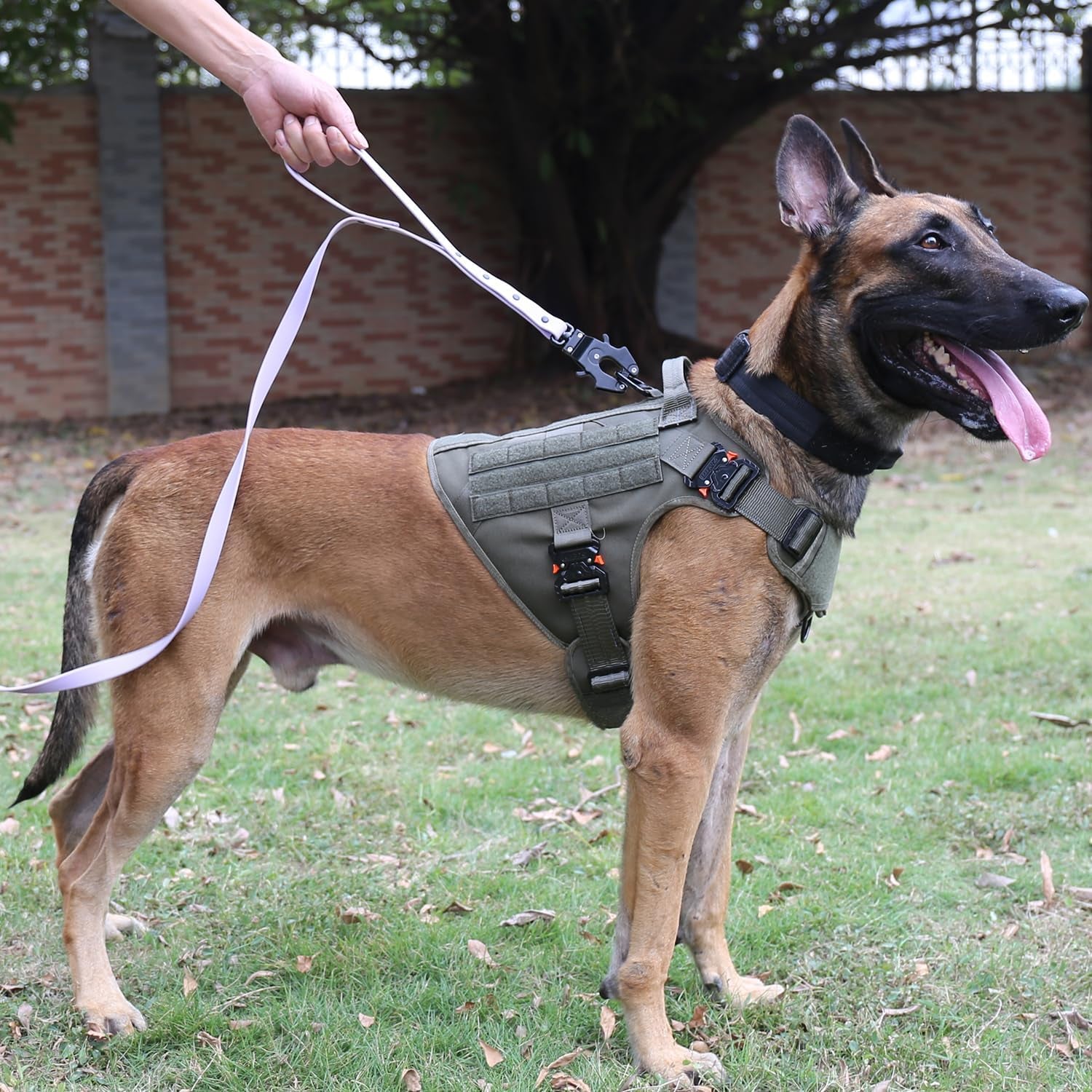 ICEFANG Tactical Dog Harness with 4X Metal Buckle,Working Dog MOLLE K9 Vest with Handle,No Pulling Front Clip,Adjustable Pet Harness for Meduim Dogs (M (25"-31" Chest), Grey)